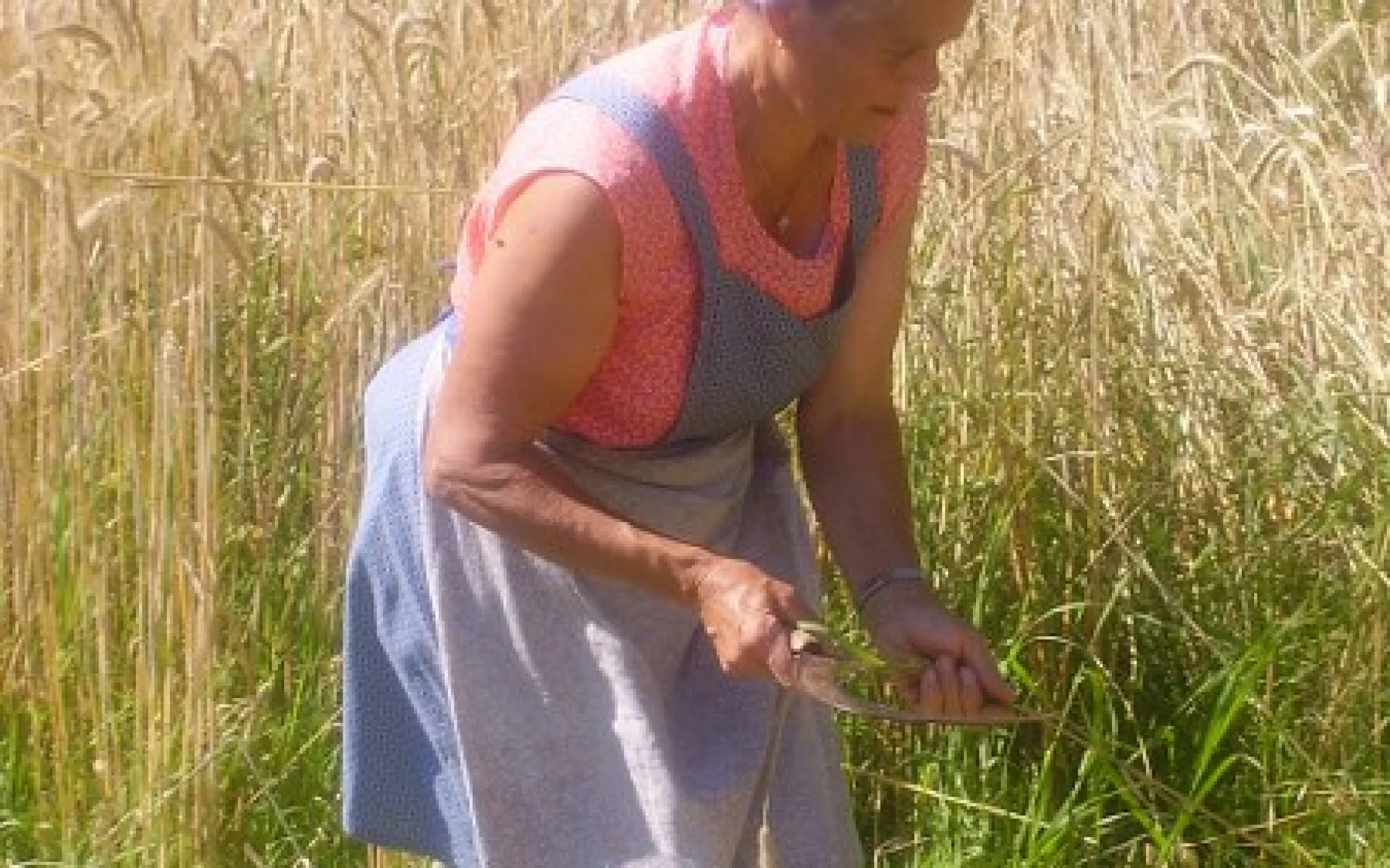 Elisabeth Kerschbaumer_28 09 12_11 07_1348823257_450x600.jpg